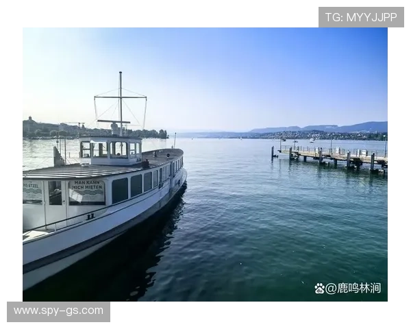 瑞士国际娱乐城:汇聚国际顶尖娱乐资源满足不同客户的多样化需求 瑞士国际娱乐城:汇聚国际顶尖娱乐资源满足不同客户的多样化需求