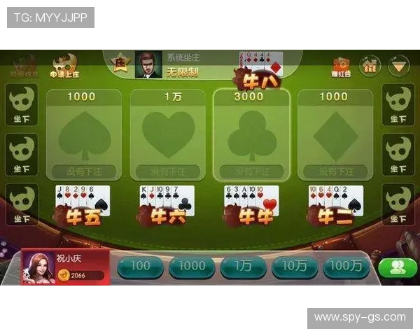 全面解析百家乐游戏规则：不同版本游戏的玩法差异与操作技巧