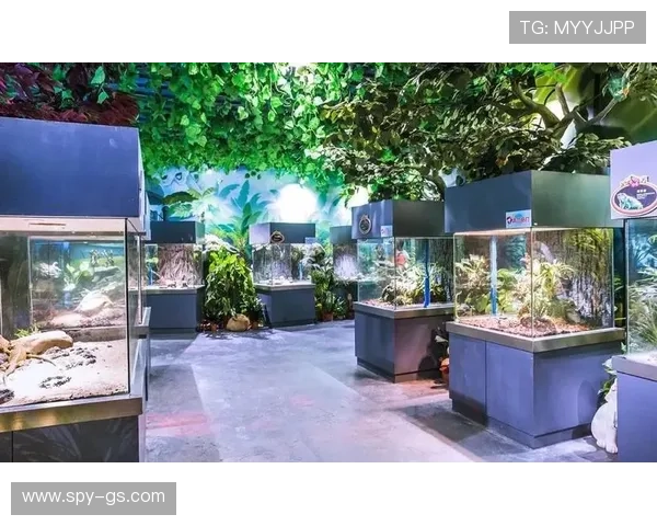 海立方娱乐:丰富的赛事和活动让玩家体验不一样的精彩纷呈 海立方娱乐:丰富的赛事和活动让玩家体验不一样的精彩纷呈